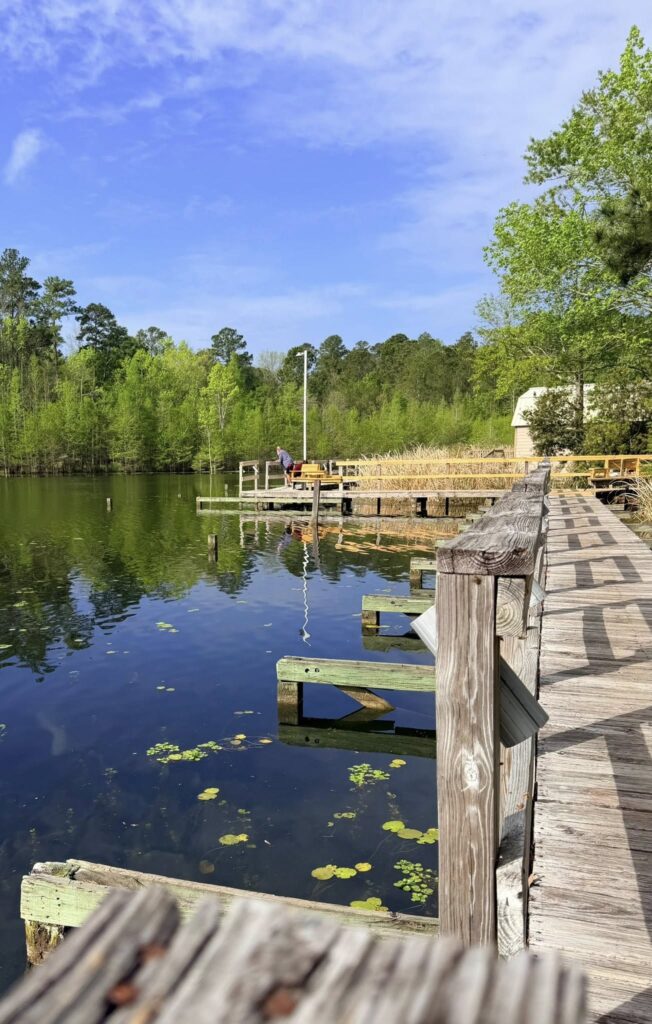 lake moultrie3
